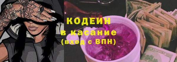 прущие грибы Арсеньев