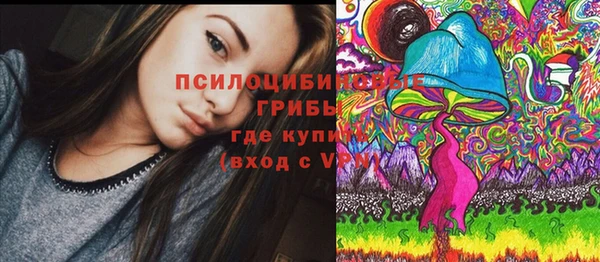 прущие грибы Арсеньев