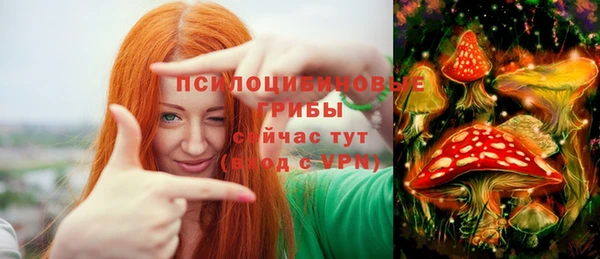 прущие грибы Арсеньев