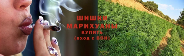 прущие крисы Аркадак